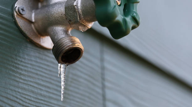 Best Local Plumber Services  in Winton, CA
